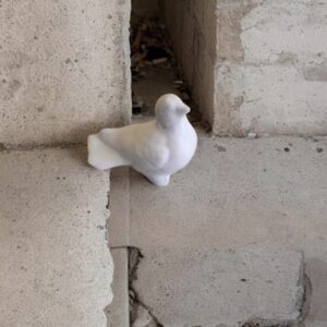 Dove (Small)