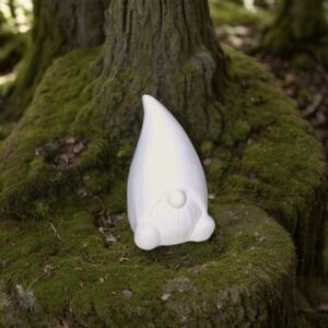 Fairy Gnome