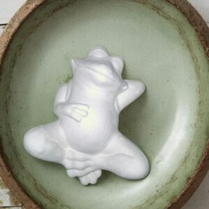 Frog on Back Medium