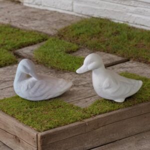 Fuzzy Ducks Set of 2