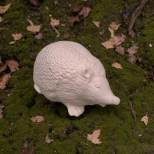 Crawling Hedgehog