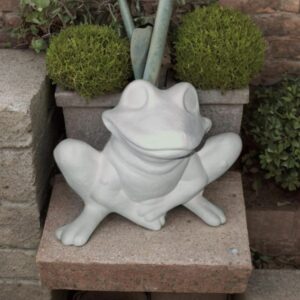 Large Crouching Frog
