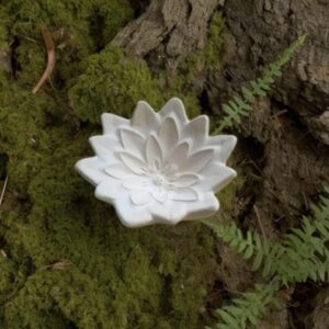 Lotus with Stem
