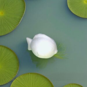 Pufferfish (Small)