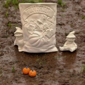 Pumpkin Seed Packet