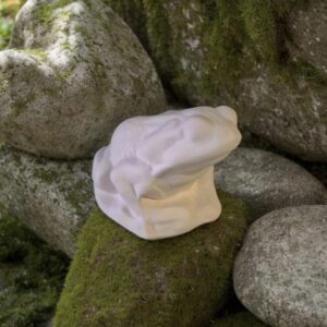Rock Frog