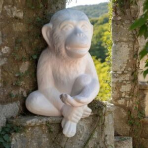 Sitting Chimp