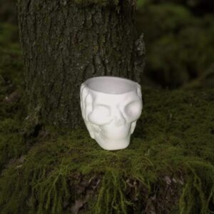 Skull Planter