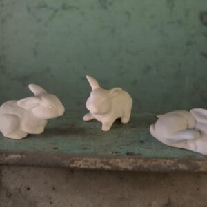 Small Rabbits