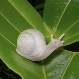 Snail (XL)