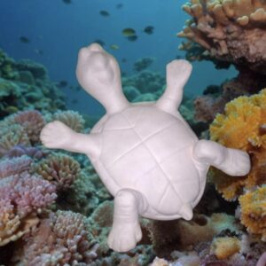 Tommy Turtle