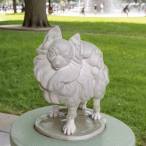 Toy Pom