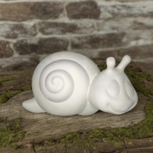 Turbo Snail Large