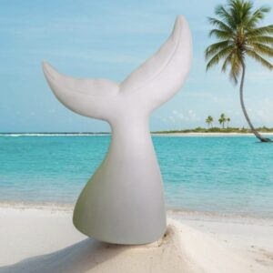 Whale Tail