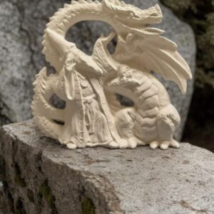 Wizard with Dragon