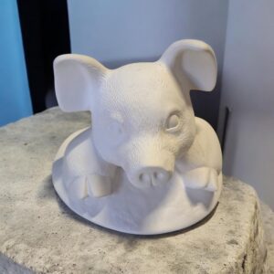 Pig in Mud