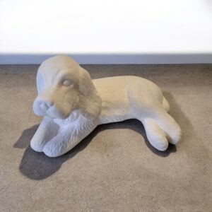 Cockerspaniel Laying