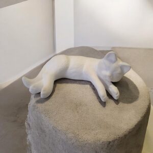 Lazing Cat