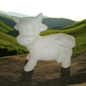Bull Cow