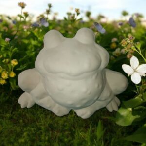Bullfrog