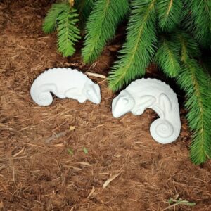 Chameleons