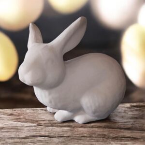 Crouching Large Bunny