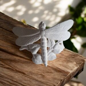 Curved Dragonfly
