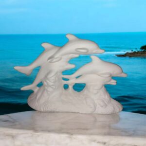 Dolphin Pod