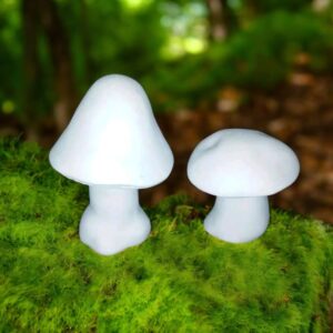 Duo Mushroom Set of 2