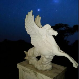 Flying Pegasus