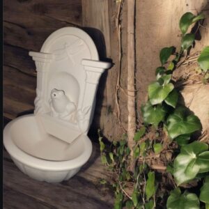 Frog Fountain