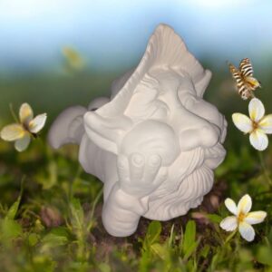 Gnome on Tummy
