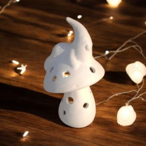 Gnome over Mushroom