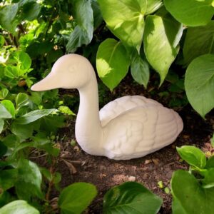 Goose