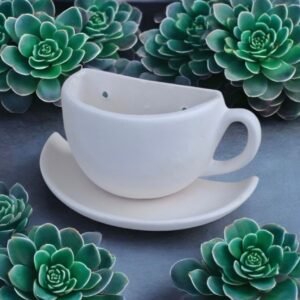 Half cup & Saucer Planter hanging