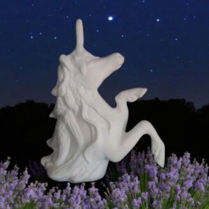 Half Unicorn