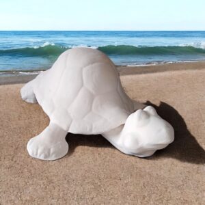 Head Out Turtle
