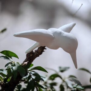 Humming Bird