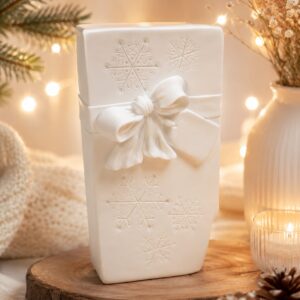 Xmas Present Package