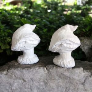 Magic Mushrooms