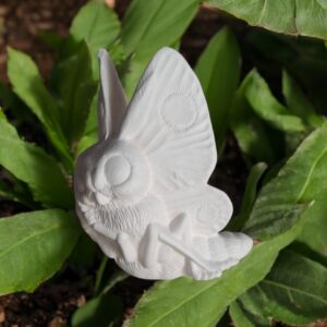 Moth