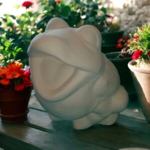 Open Mouth Frog