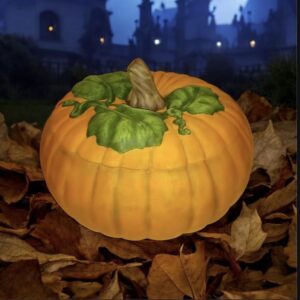 Pumpkin with Lid