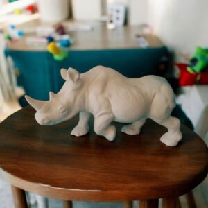 Rhino