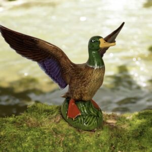 Flying Duck