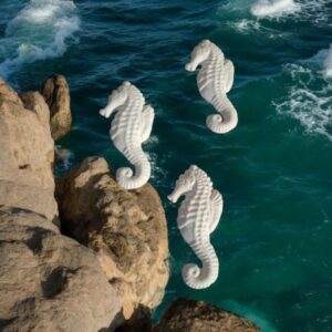 Seahorse Flat