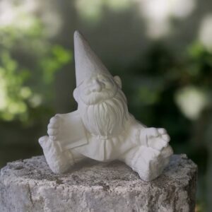 Seed Packet Gnome