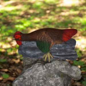 Shelf Laying Chicken on Log
