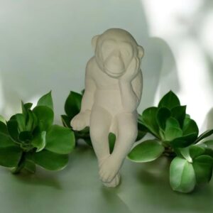 Shelf Sitting Ape