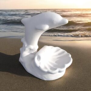 Shell Dolphin